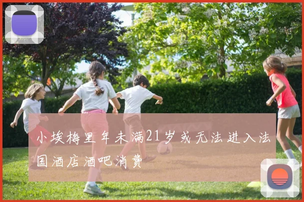 小埃梅里年未满21岁或无法进入法国酒店酒吧消费